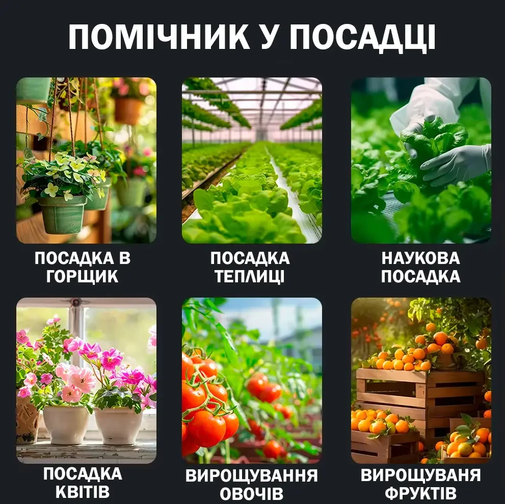 Аналізатор ґрунту 6в1 ST-03 (рН, температура, освітленість, плодородіння, вологість ґрунту та повітря)